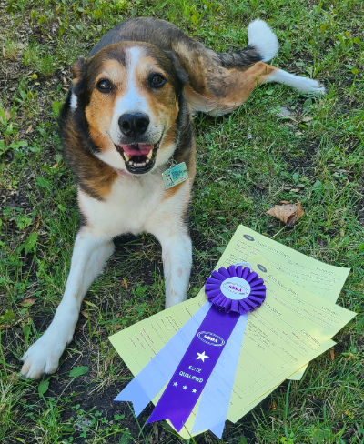 Haley Elite ribbon